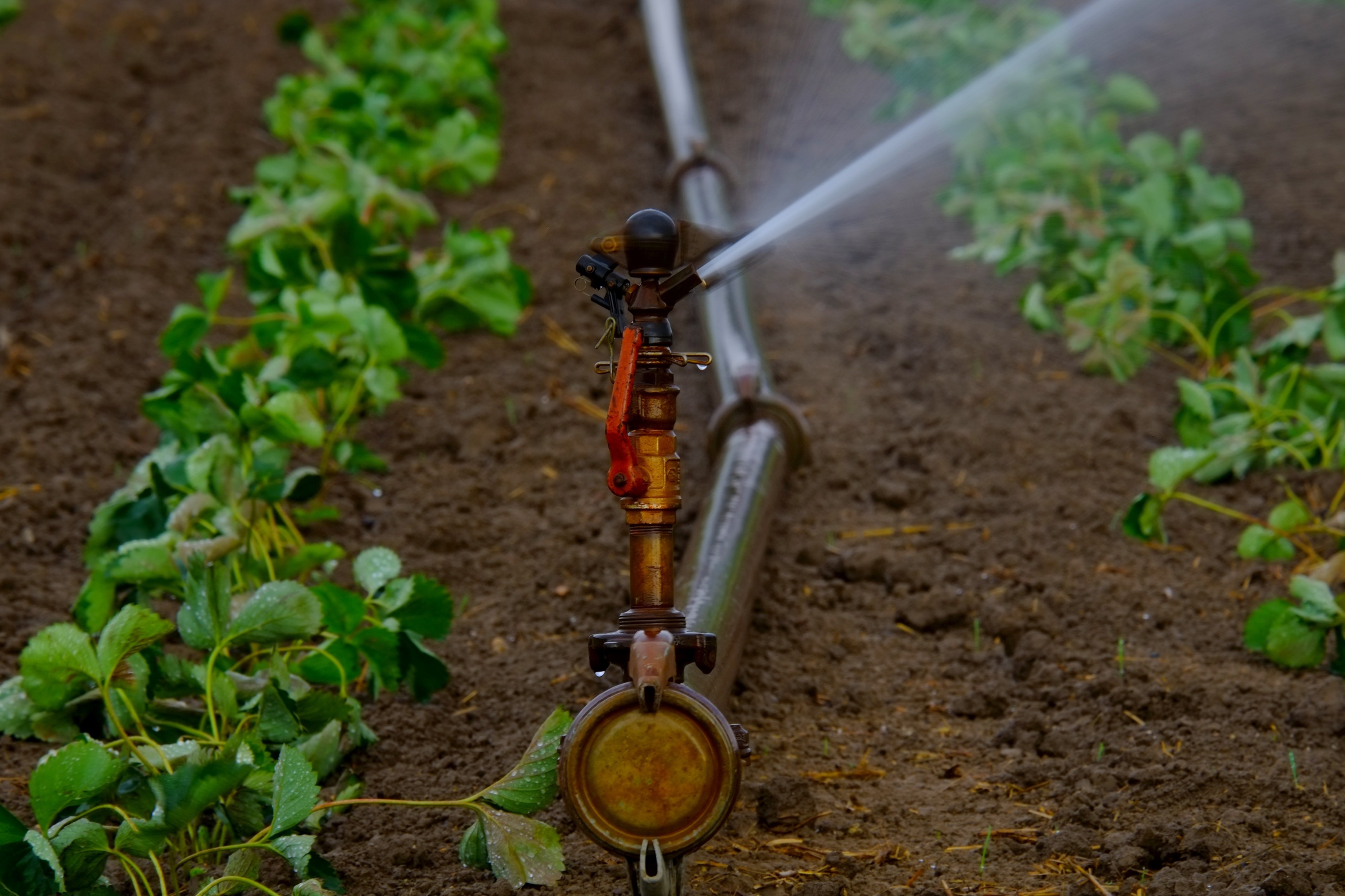 Yard Systems